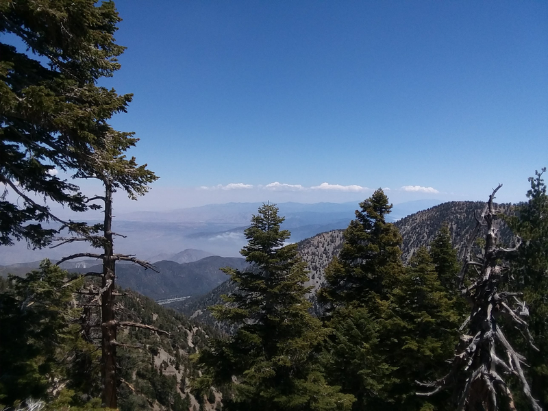 The views really started getting cool after I made it past the ski lifts and continued further up the mountain on when the hike really got real